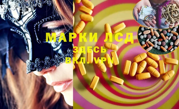 молекула духа Арсеньев