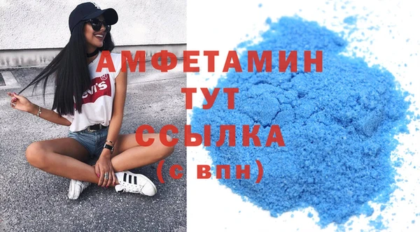 молекула духа Арсеньев