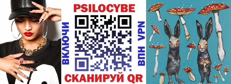 Псилоцибиновые грибы Psilocybe  дарнет шоп  маркетплейс какой сайт  Ишим 
